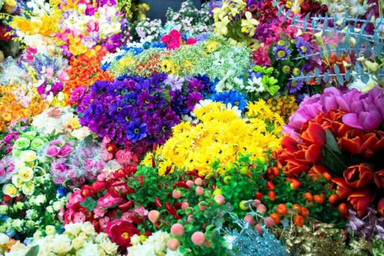 Descubre los 10 tipos de flores más impresionantes que te dejarán sin aliento